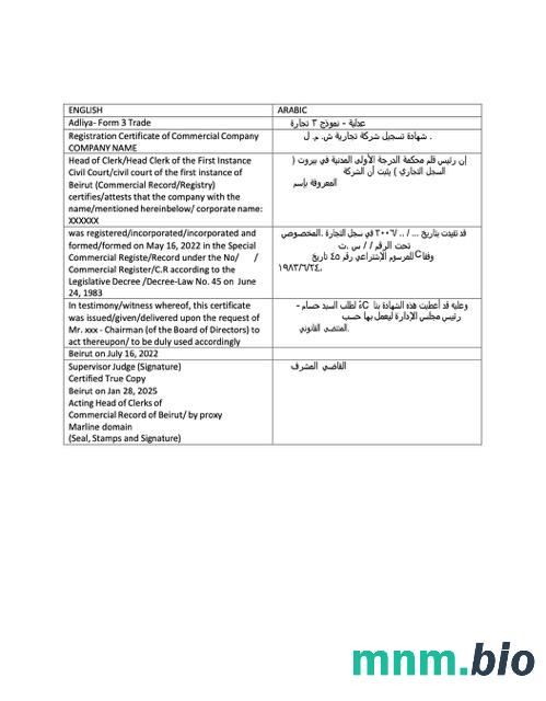 Liban świadectwo rejestracji Word i PDF szablon